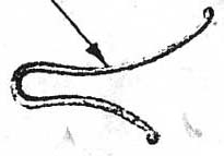 Spring Firing Pin BD0949